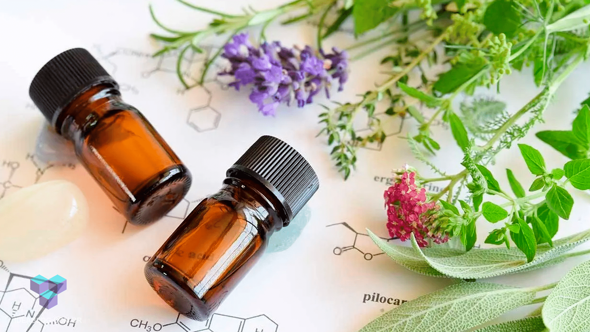 Aromaterapia: saiba como fazer e conheça 3 principais óleos